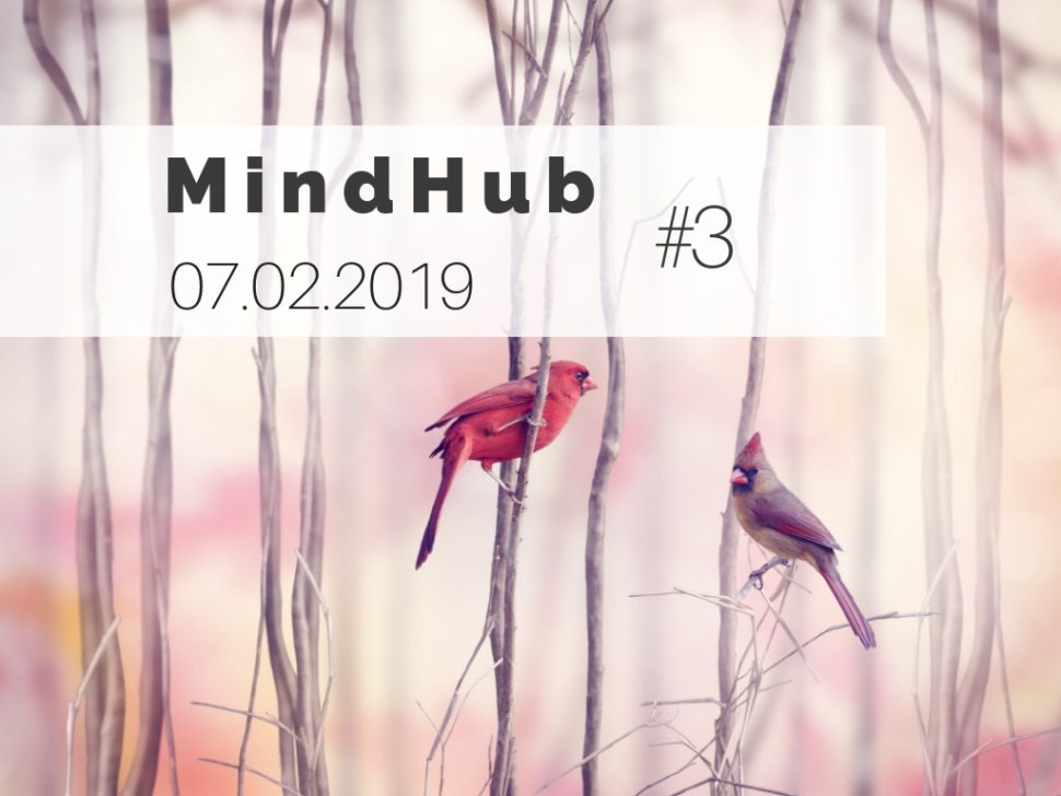 MindHub #3